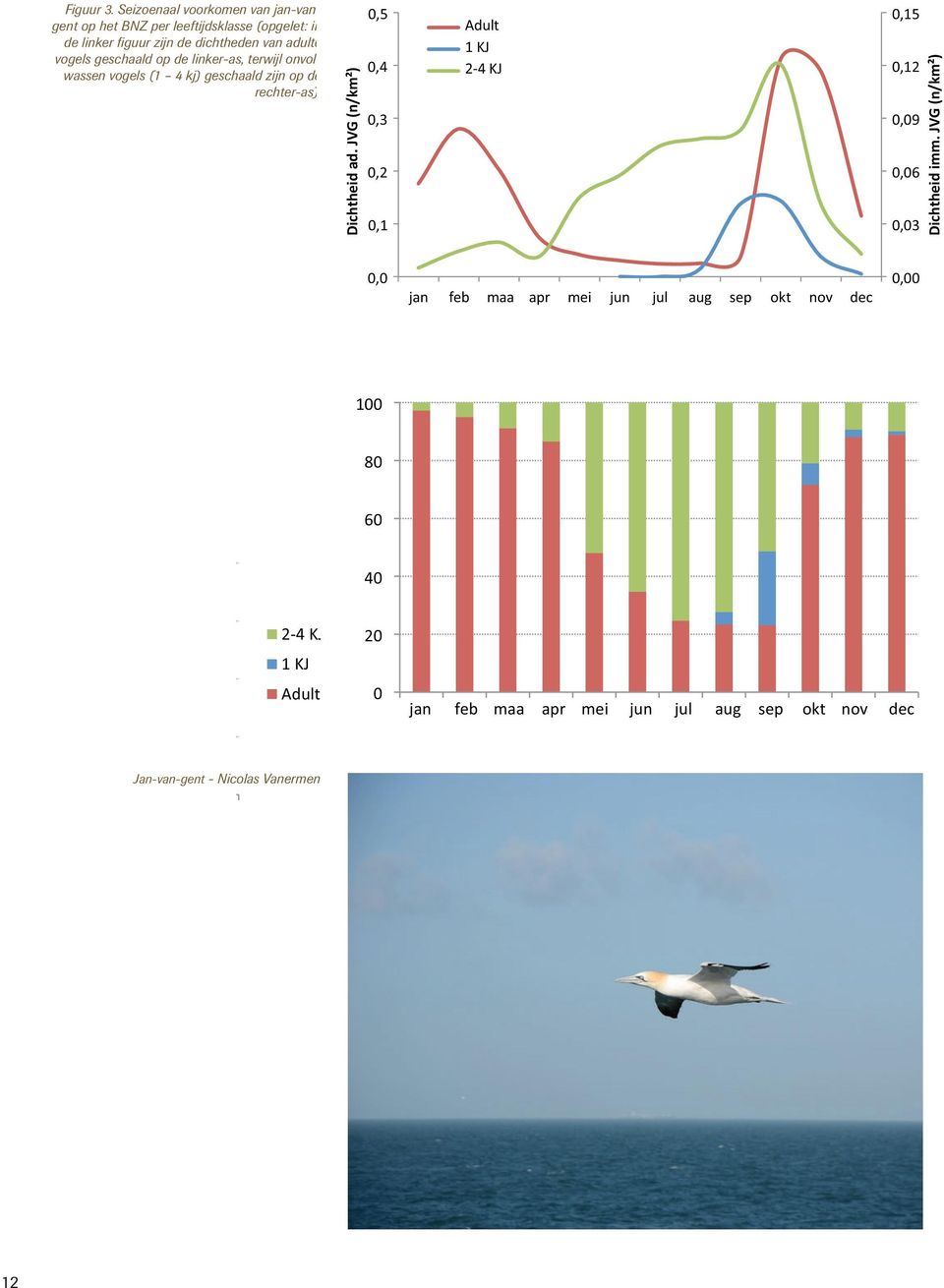 vogels (1 4 kj) geschaald zijn op de KJ rechter-as). 0,15 0,12 0,09 0,06 0,03 Dichtheid imm. JVG (n/km²) Dichtheid ad. JVG (n/km²) 0,5 0,3 0,2 0,1 0,0 Adult Dichtheid ad.