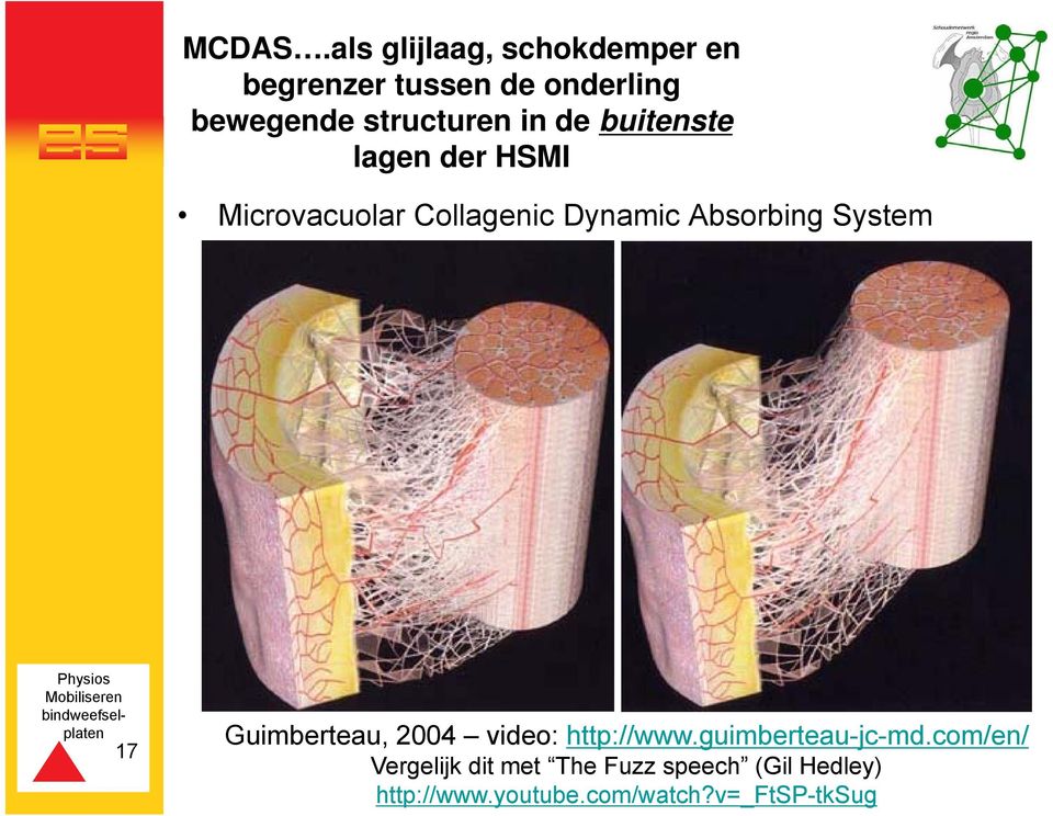 in de buitenste lagen der HSMI Microvacuolar Collagenic Dynamic Absorbing System