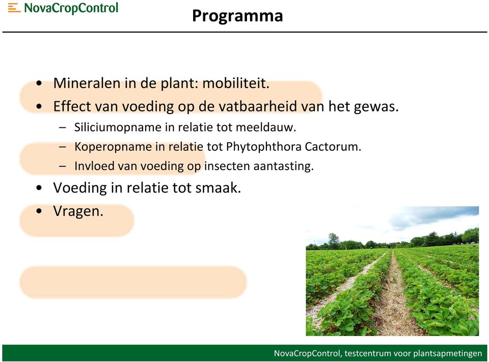 Siliciumopname in relatie tot meeldauw.