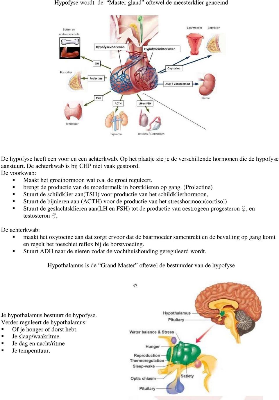 (Prolactine) Stuurt de schildklier aan(tsh) voor productie van het schildklierhormoon, Stuurt de bijnieren aan (ACTH) voor de productie van het stresshormoon(cortisol) Stuurt de geslachtsklieren