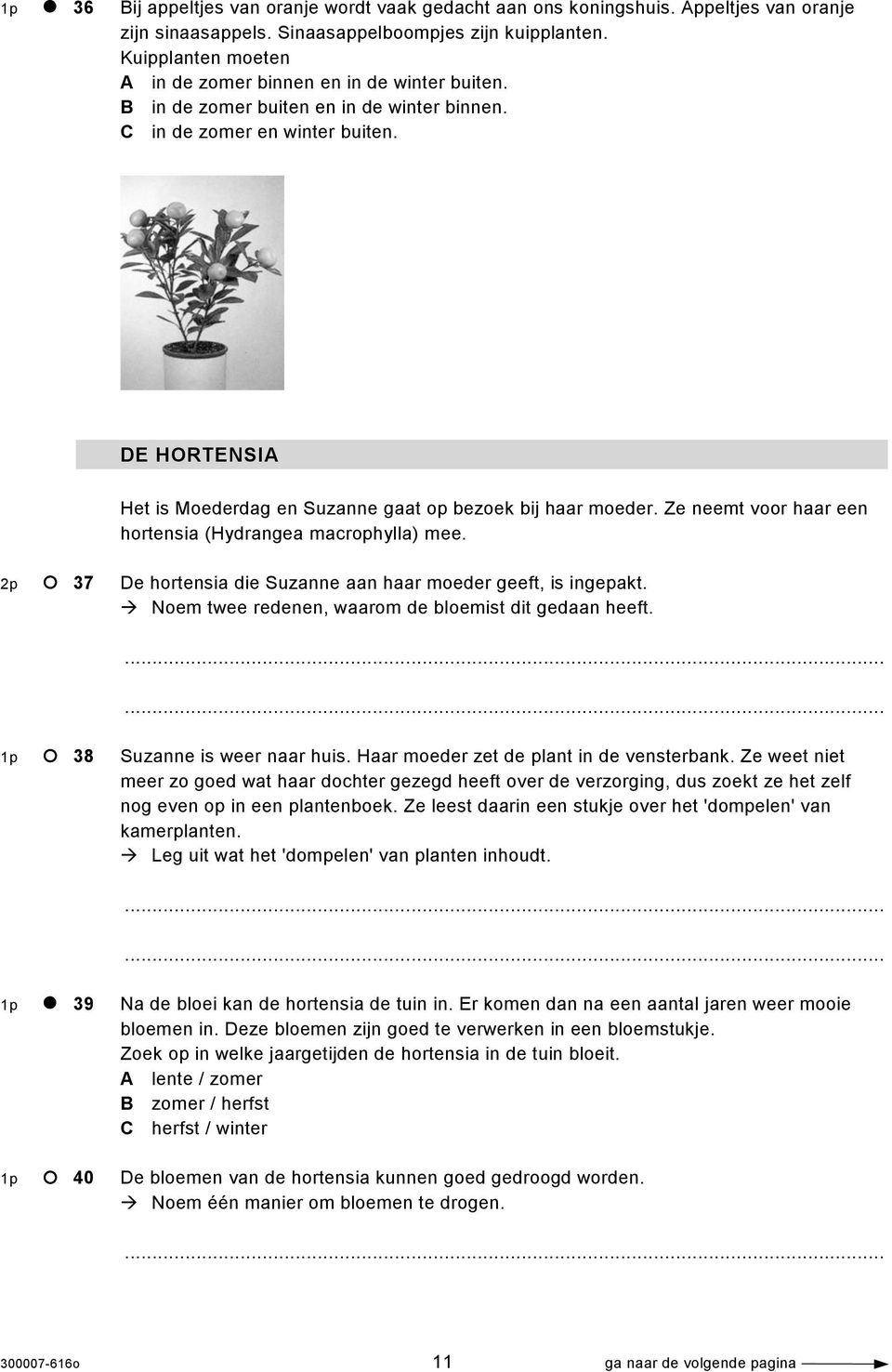 DE HORTENSIA Het is Moederdag en Suzanne gaat op bezoek bij haar moeder. Ze neemt voor haar een hortensia (Hydrangea macrophylla) mee.