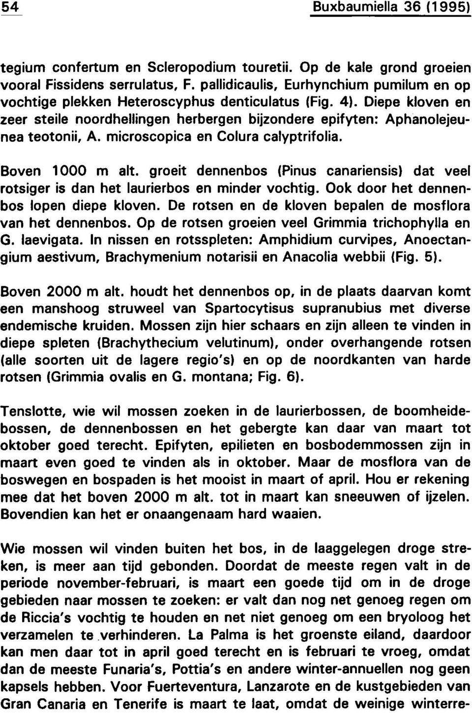 microscopica en Colura calyptrifolia. Boven 1000 m alt. groeit dennenbos (Pinus canariensis) dat veel rotsiger is dan het laurierbos en minder vochtig. Ook door het dennenbos lopen diepe kloven.