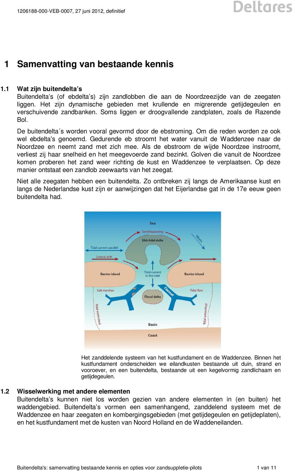 De buitendelta s worden vooral gevormd door de ebstroming. Om die reden worden ze ook wel ebdelta s genoemd.