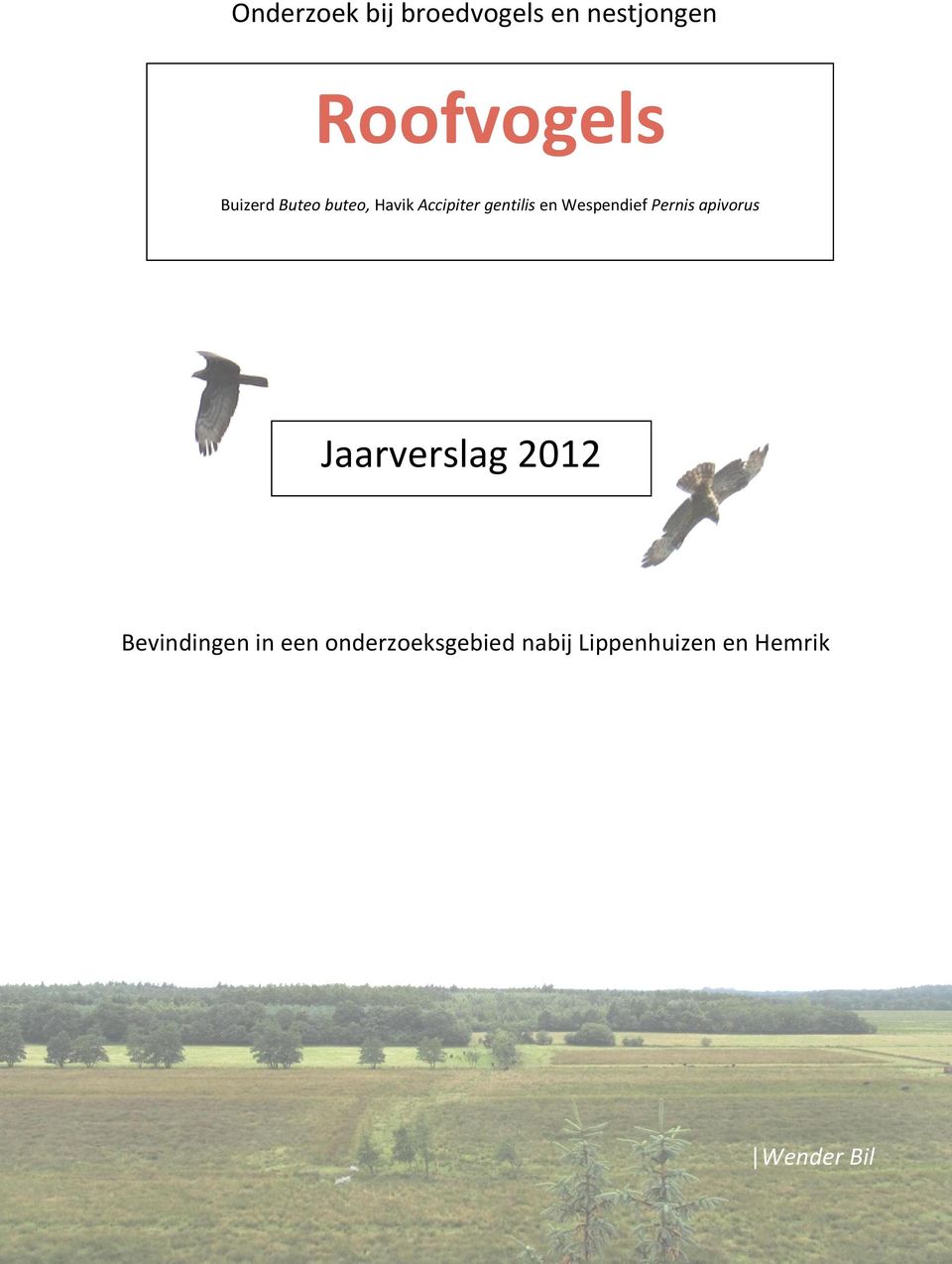 Wespendief Pernis apivorus Jaarverslag 2012