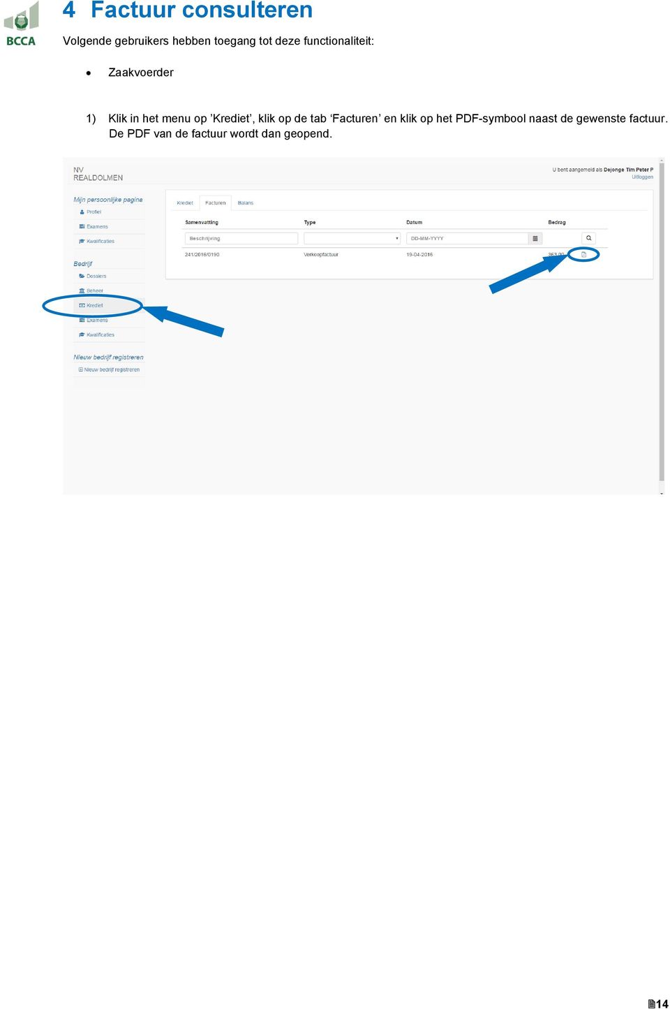 Krediet, klik op de tab Facturen en klik op het PDF-symbool