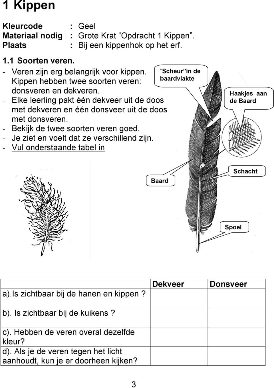 - Bekijk de twee soorten veren goed. - Je ziet en voelt dat ze verschillend zijn. - Vul onderstaande tabel in Scheur in de baardvlakte Haakjes aan de Baard Baard Schacht Spoel a).