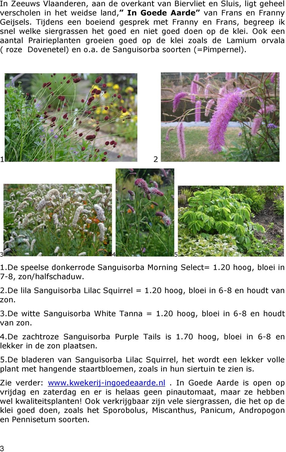 Ook een aantal Prairieplanten groeien goed op de klei zoals de Lamium orvala ( roze Dovenetel) en o.a. de Sanguisorba soorten (=Pimpernel). 1 2 3 4 5 1.