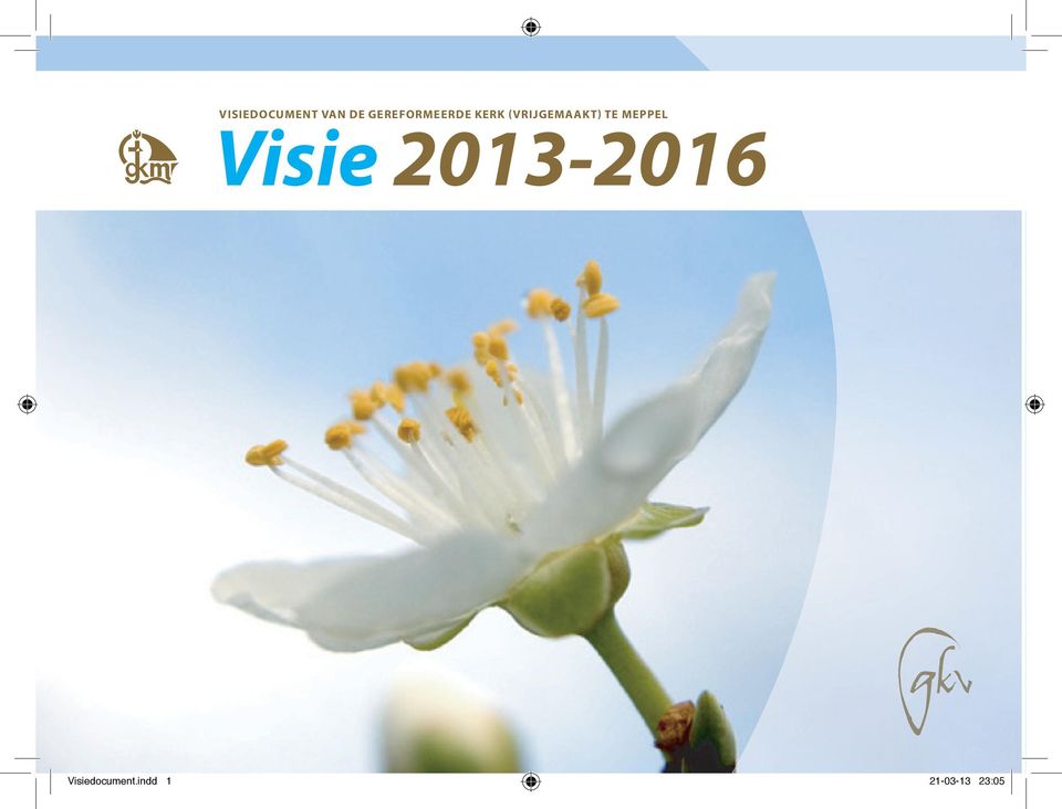 2013-2016 VISIEDOCUMENT 2013 GKV