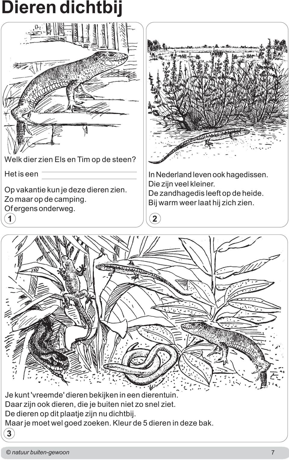 Bij warm weer laat hij zich zien. Of ergens onderweg. Je kunt 'vreemde' dieren bekijken in een dierentuin.