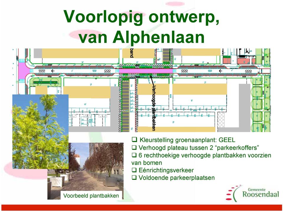 parkeerkoffers 6 rechthoekige verhoogde plantbakken