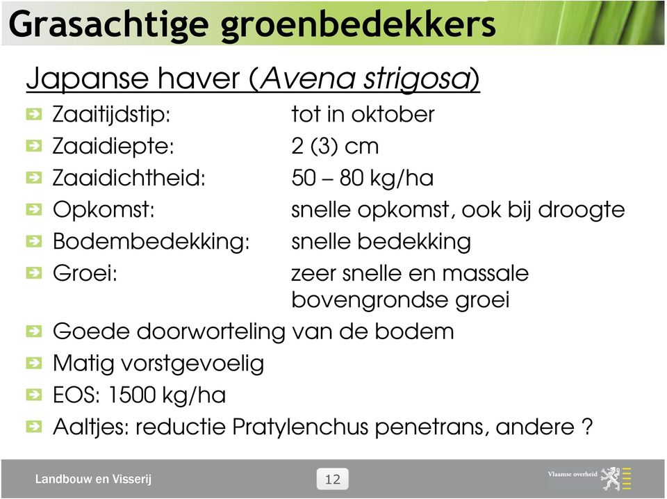 droogte snelle bedekking zeer snelle en massale bovengrondse groei Goede doorworteling