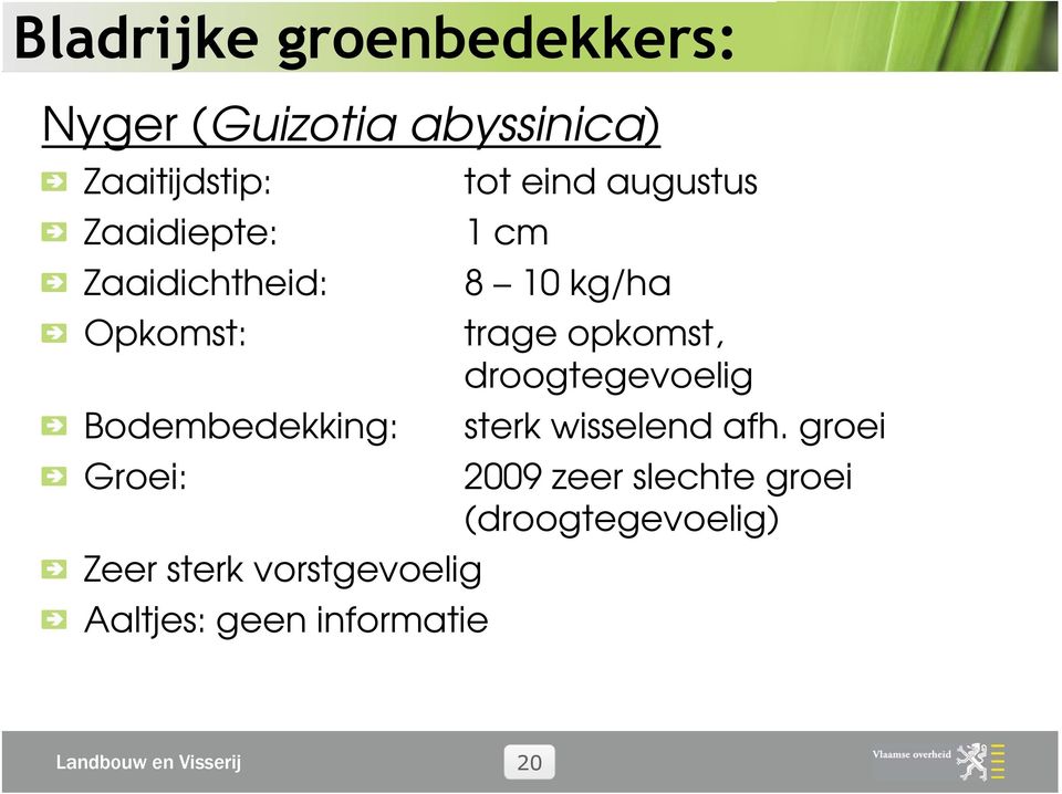 opkomst, droogtegevoelig sterk wisselend afh.