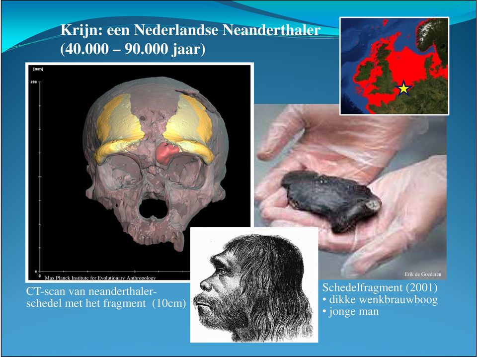 Anthropology CT-scan van neanderthalerschedel met het