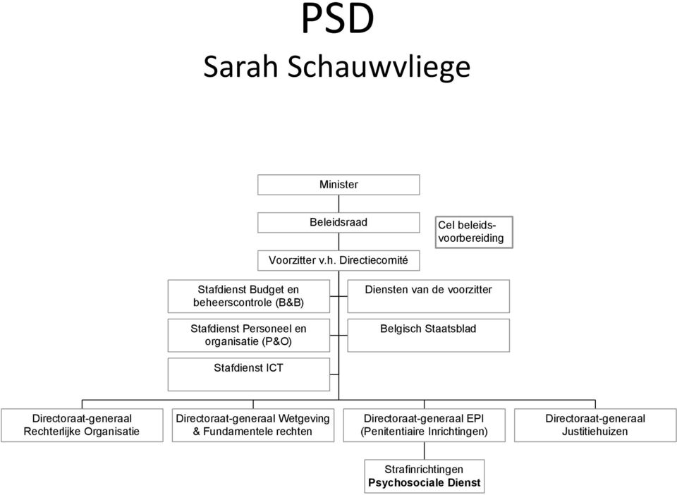 beheerscontrole (B&B) Stafdienst Personeel en organisatie (P&O) Diensten van de voorzitter Belgisch Staatsblad