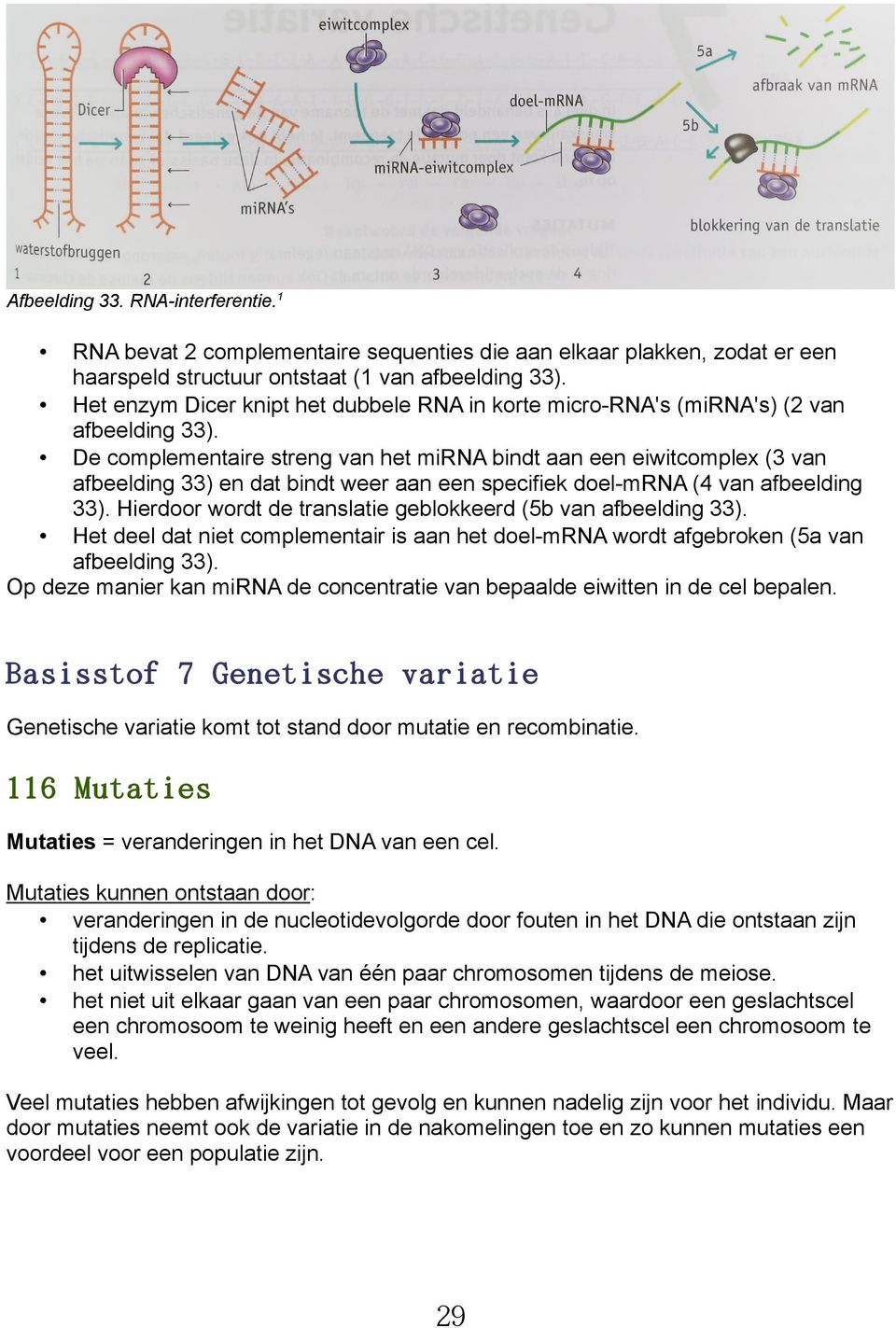 De complementaire streng van het mirna bindt aan een eiwitcomplex (3 van afbeelding 33) en dat bindt weer aan een specifiek doel-mrna (4 van afbeelding 33).