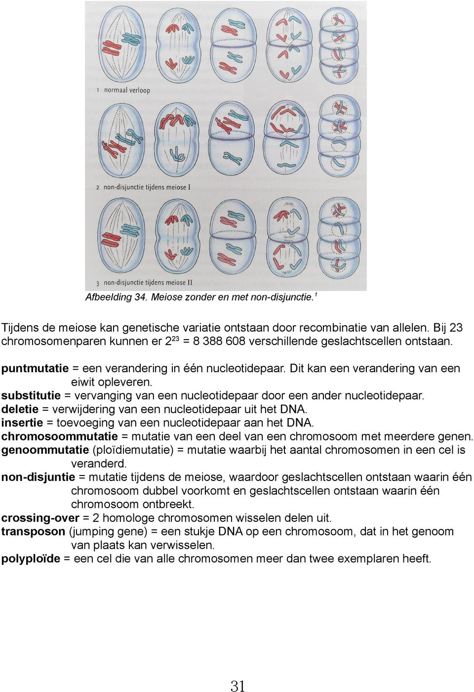 substitutie = vervanging van een nucleotidepaar door een ander nucleotidepaar. deletie = verwijdering van een nucleotidepaar uit het DNA. insertie = toevoeging van een nucleotidepaar aan het DNA.