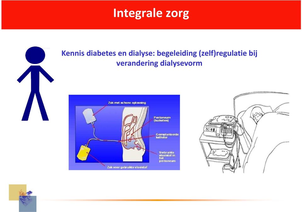 begeleiding