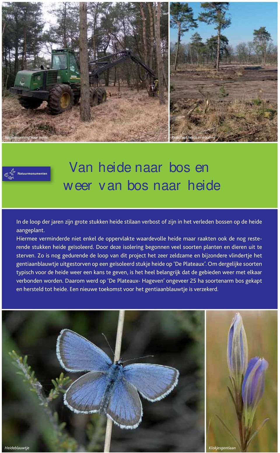 heide naar bos en weer van bos