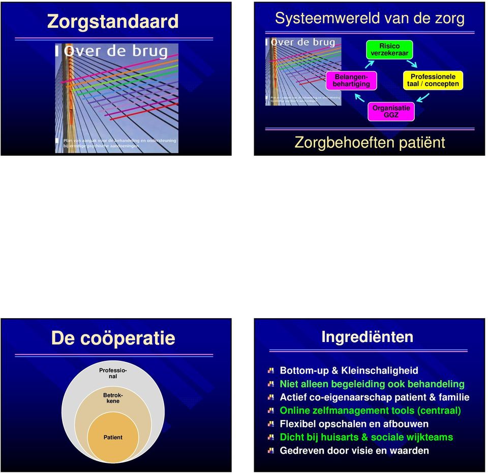 Kleinschaligheid Niet alleen begeleiding ook behandeling Actief co-eigenaarschap patient & familie Online