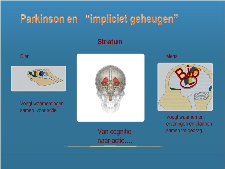 cognitie naar actie.