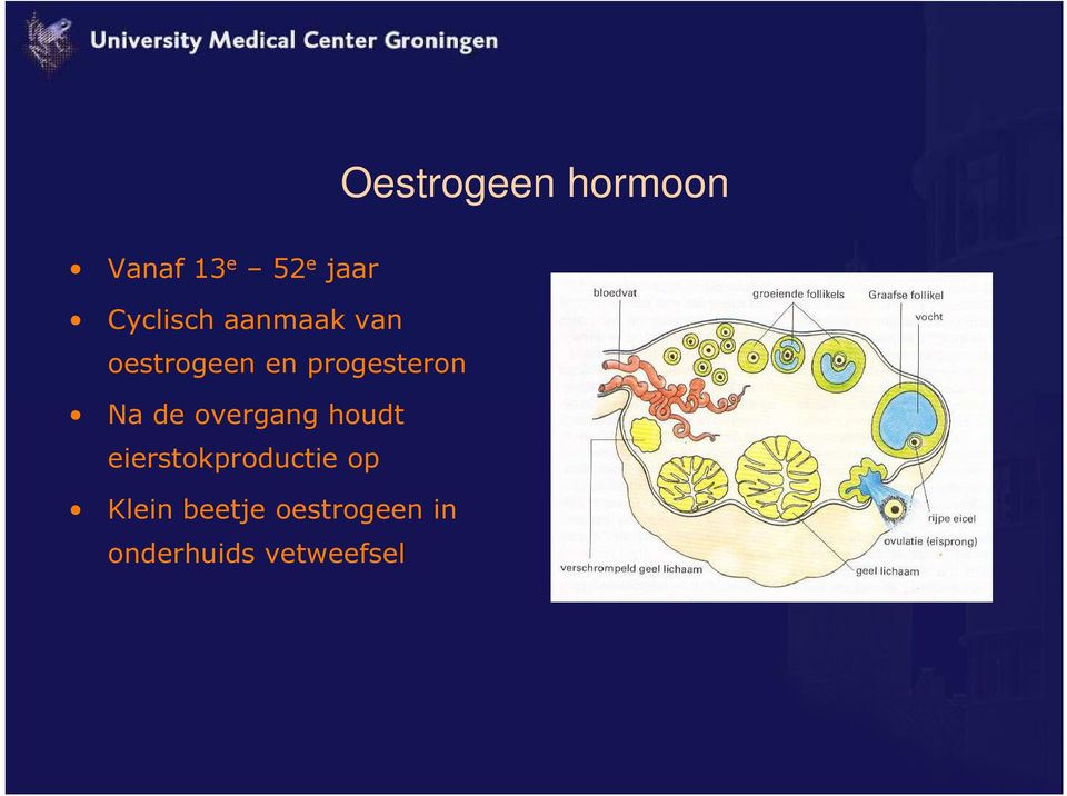 progesteron Na de overgang houdt