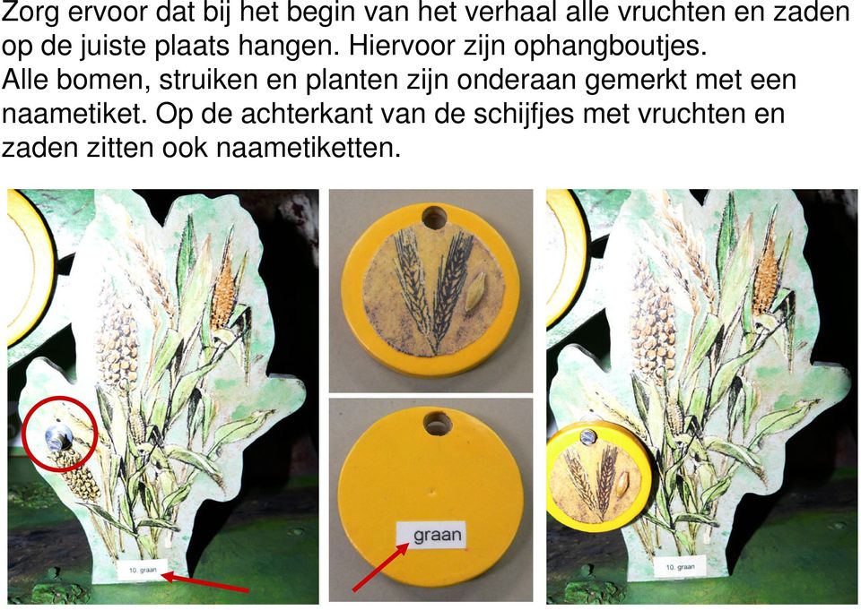 Alle bomen, struiken en planten zijn onderaan gemerkt met een