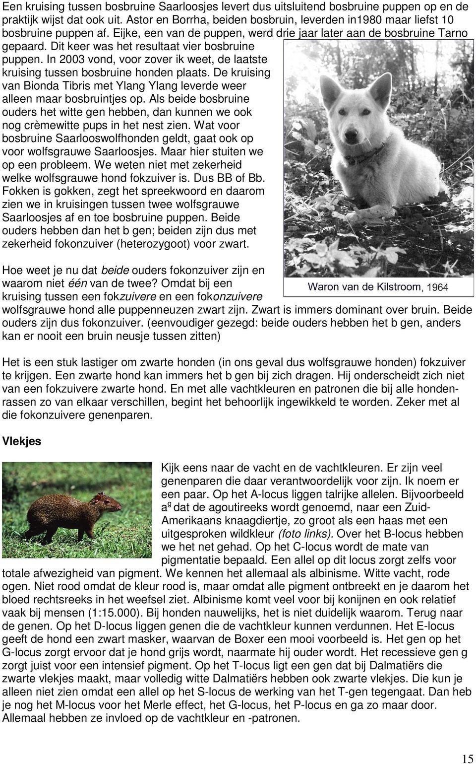 Dit keer was het resultaat vier bosbruine puppen. In 2003 vond, voor zover ik weet, de laatste kruising tussen bosbruine honden plaats.