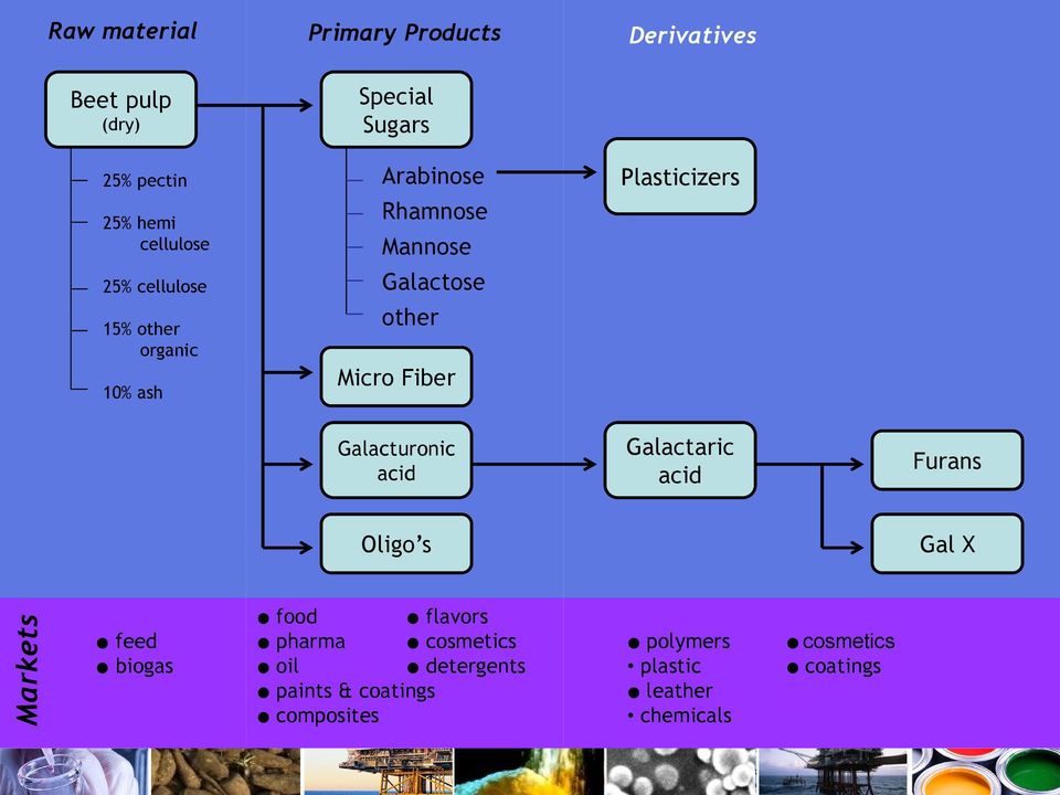 Micro Fiber Plasticizers Galacturonic acid Galactaric acid Furans Oligo s Gal X feed biogas food flavors