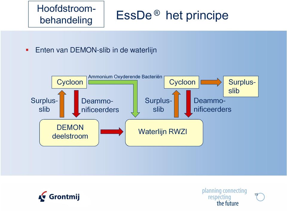 Bacteriën Surplusslib Deammonificeerders Surplusslib