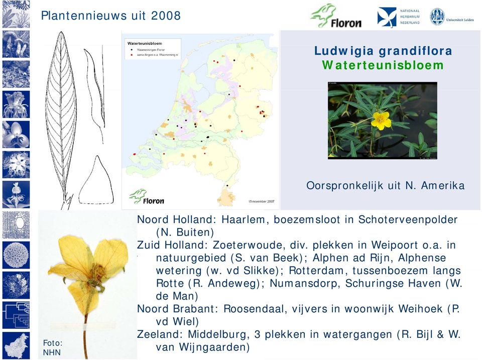 plekken in Weipoort o.a. in natuurgebied (S. van Beek); Alphen ad Rijn, Alphense wetering (w.