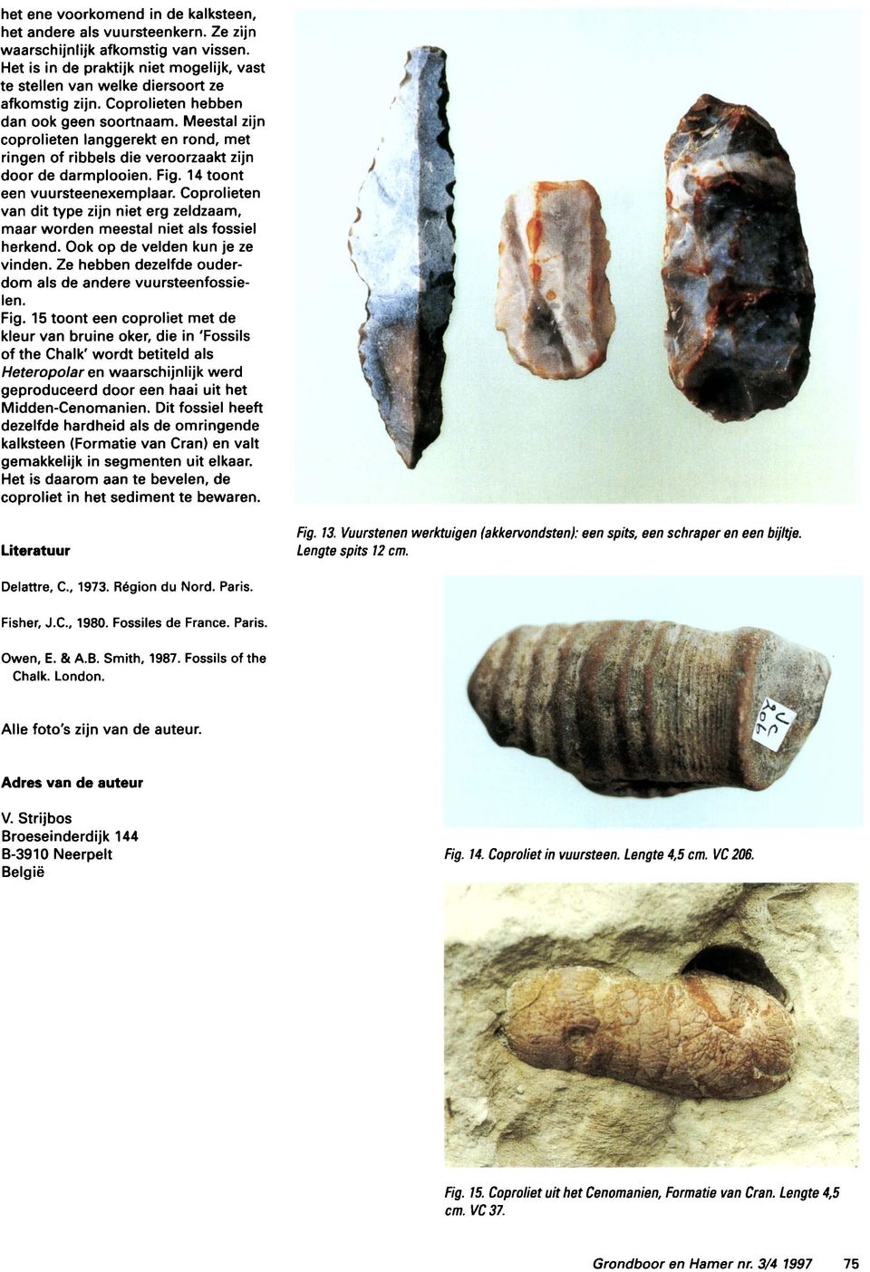 Meestal zijn coprolieten langgerekt en rond, met ringen of ribbels die veroorzaakt zijn door de darmplooien. Fig. 14 toont een vuursteenexemplaar.