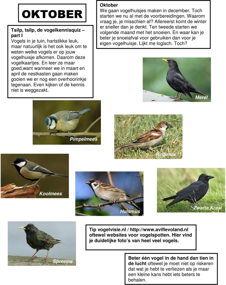 Oktober We gaan vogelhuisjes maken in december. Toch starten we nu al met de voorbereidingen. Waarom vraag je, je misschien af? Allereerst komt de winter er sneller dan je denkt.