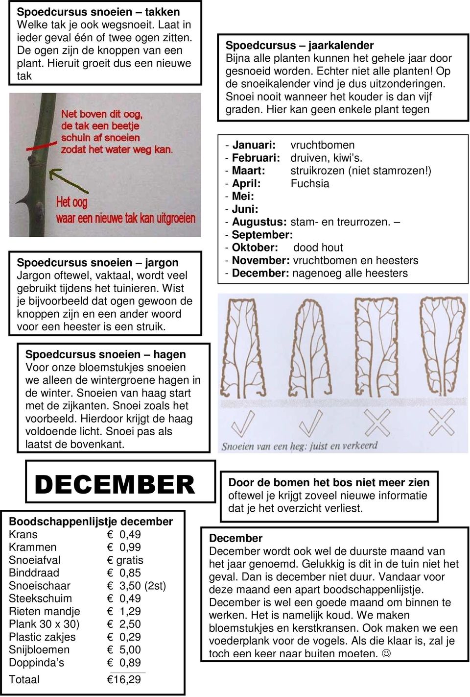 Snoei nooit wanneer het kouder is dan vijf graden. Hier kan geen enkele plant tegen Spoedcursus snoeien jargon Jargon oftewel, vaktaal, wordt veel gebruikt tijdens het tuinieren.