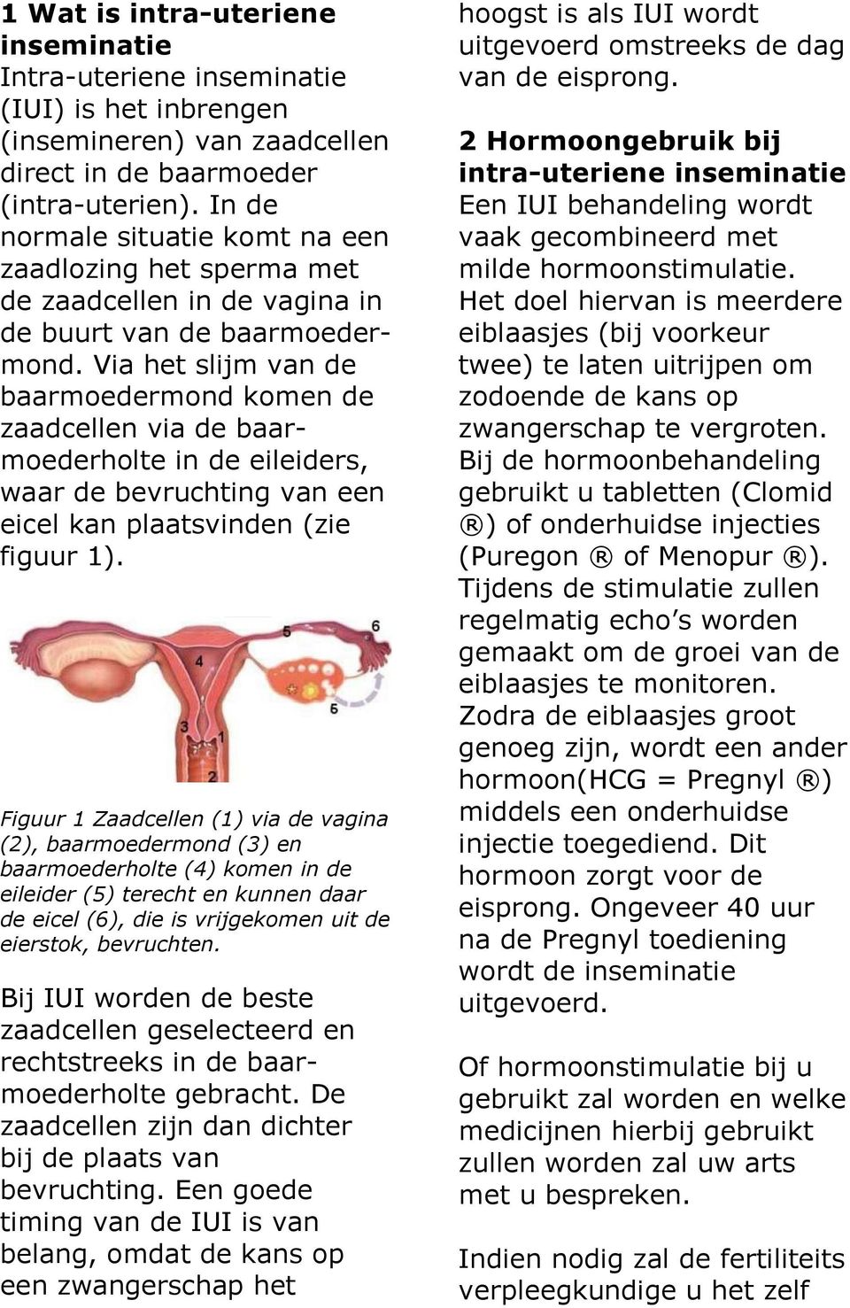 Via het slijm van de baarmoedermond komen de zaadcellen via de baarmoederholte in de eileiders, waar de bevruchting van een eicel kan plaatsvinden (zie figuur 1).