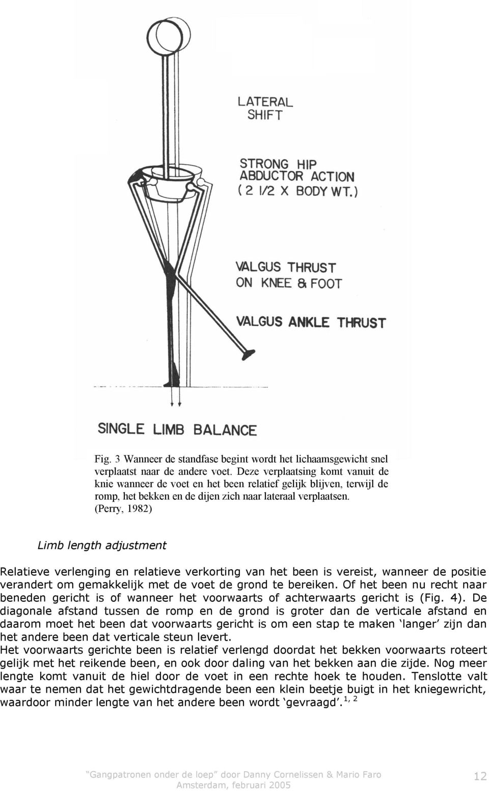 (Perry, 1982) Limb length adjustment Relatieve verlenging en relatieve verkorting van het been is vereist, wanneer de positie verandert om gemakkelijk met de voet de grond te bereiken.