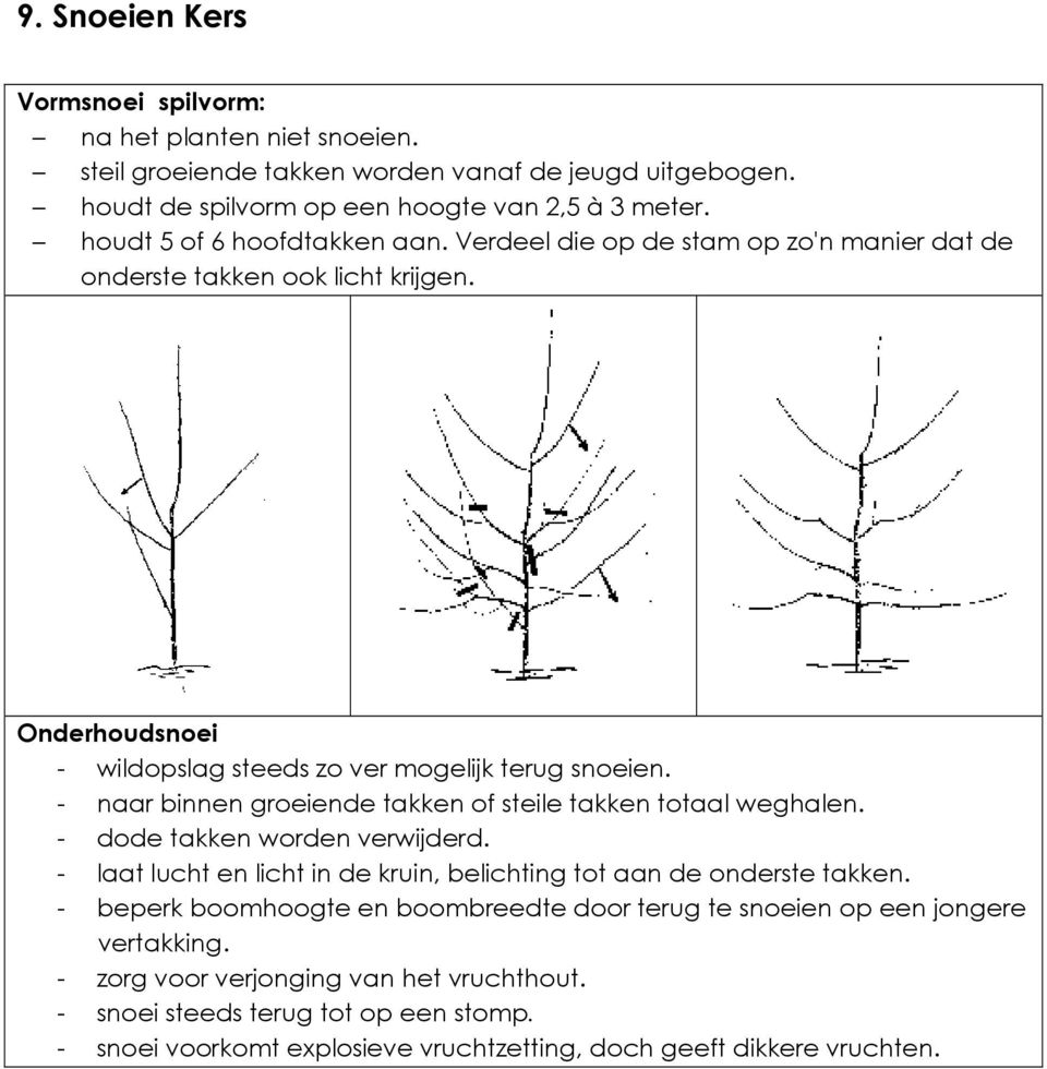 - naar binnen groeiende takken of steile takken totaal weghalen. - dode takken worden verwijderd. - laat lucht en licht in de kruin, belichting tot aan de onderste takken.