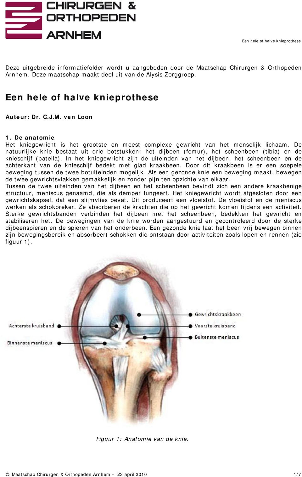 De natuurlijke knie bestaat uit drie botstukken: het dijbeen (femur), het scheenbeen (tibia) en de knieschijf (patella).