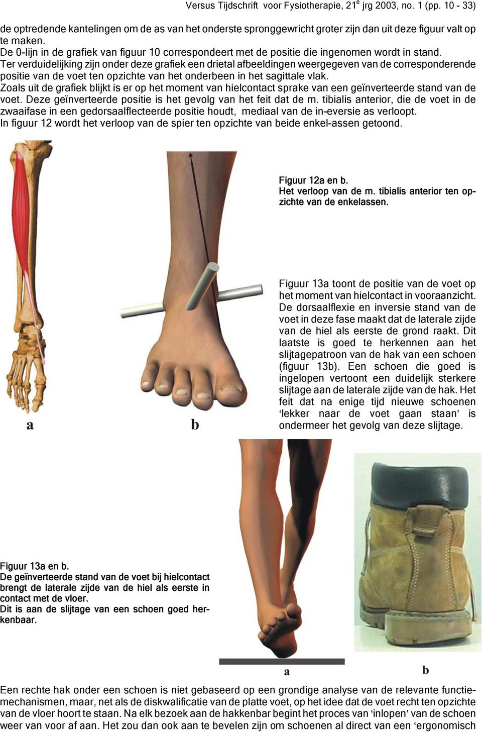 Ter verduidelijking zijn onder deze grafiek een drietal afbeeldingen weergegeven van de corresponderende positie van de voet ten opzichte van het onderbeen in het sagittale vlak.