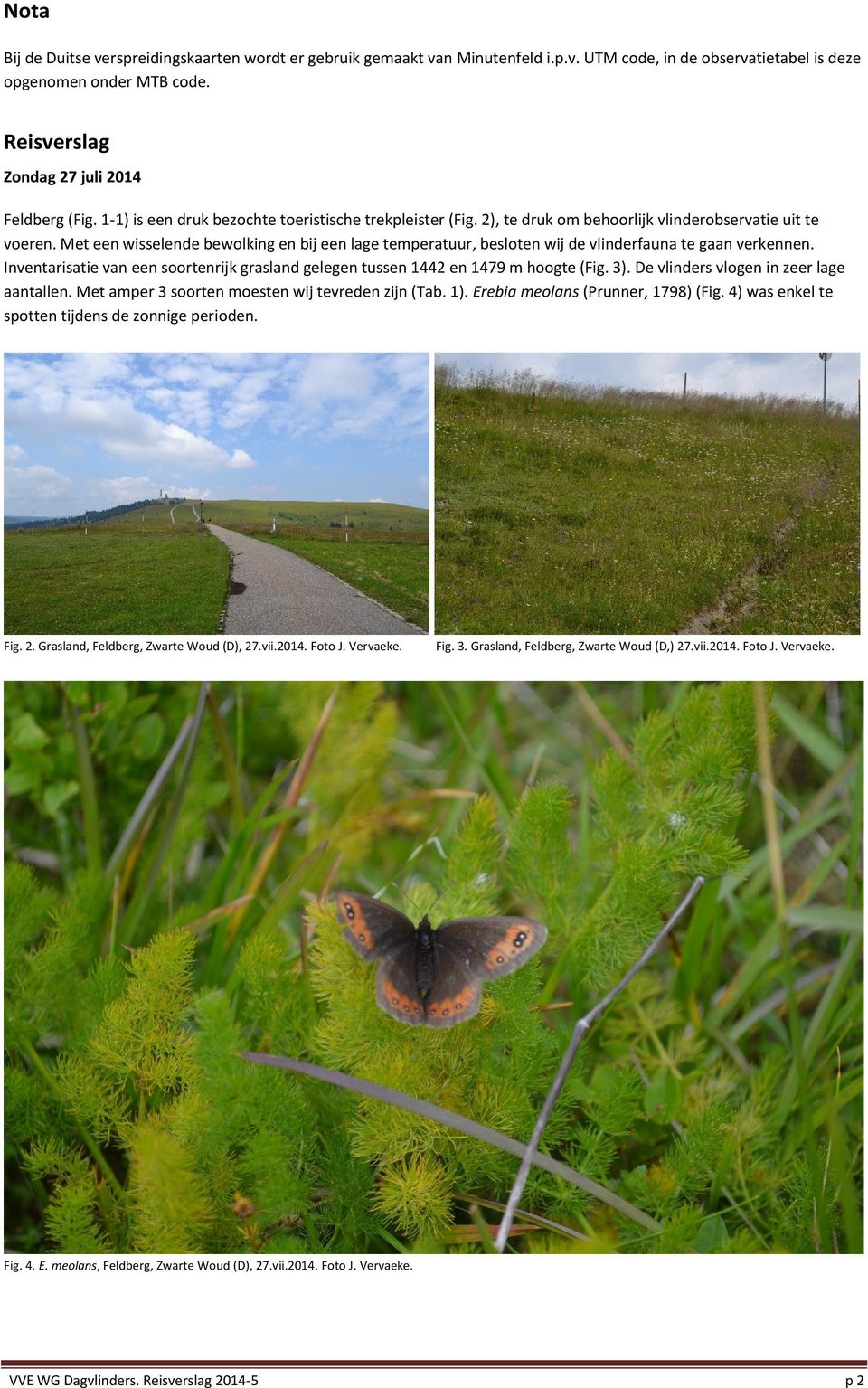 Met een wisselende bewolking en bij een lage temperatuur, besloten wij de vlinderfauna te gaan verkennen. Inventarisatie van een soortenrijk grasland gelegen tussen 1442 en 1479 m hoogte (Fig. 3).