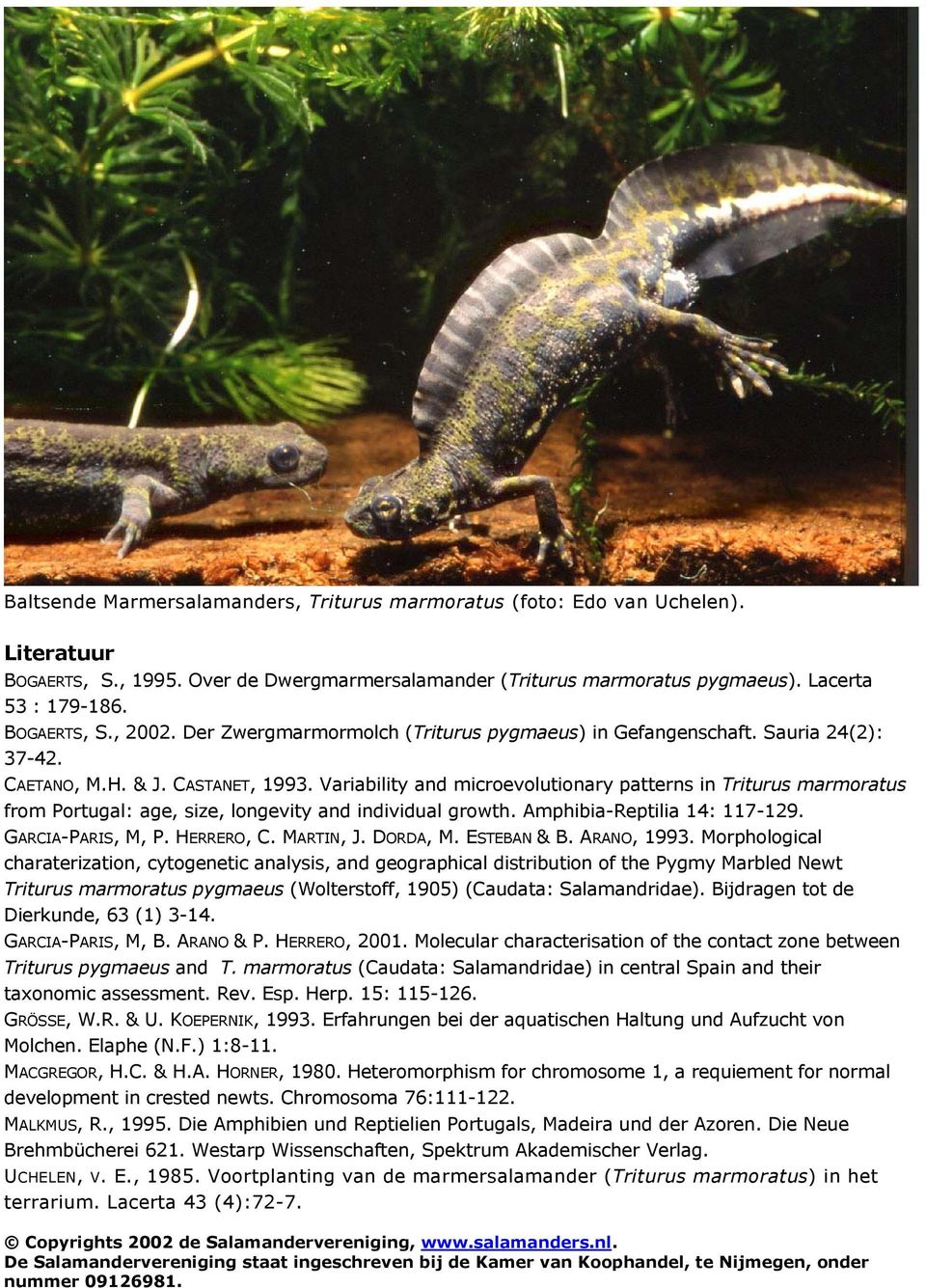 Variability and microevolutionary patterns in from Portugal: age, size, longevity and individual growth. Amphibia-Reptilia 14: 117-129. GARCIA-PARIS, M, P. HERRERO, C. MARTIN, J. DORDA, M.