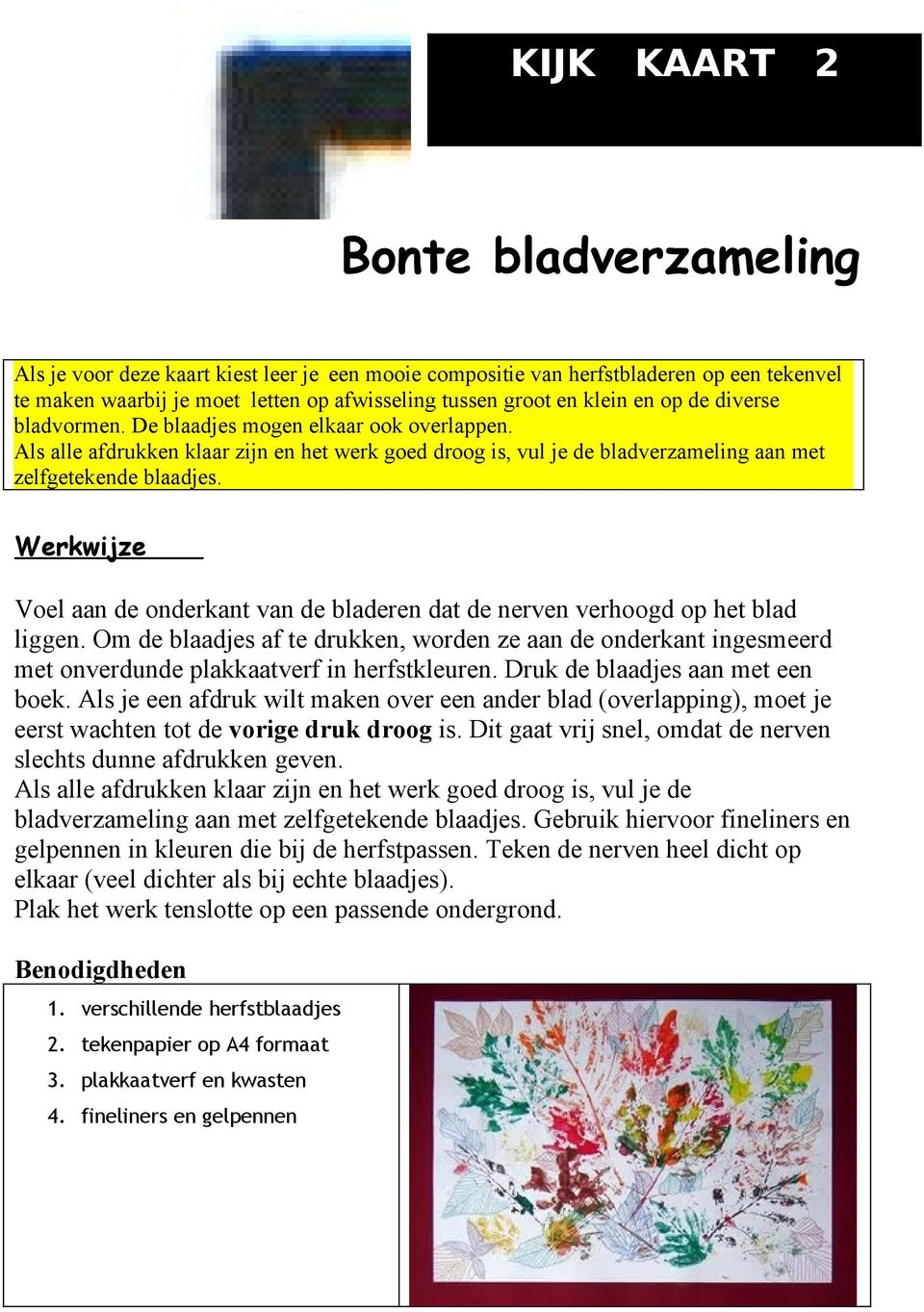 Werkwijze Voel aan de onderkant van de bladeren dat de nerven verhoogd op het blad liggen.