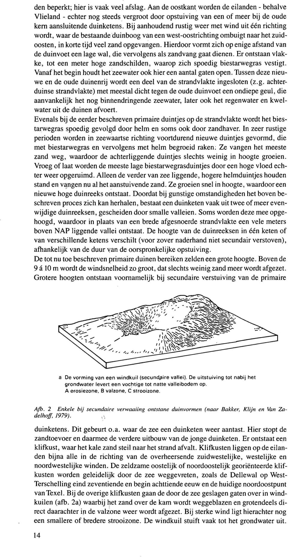 Hierdoor vormt zich op enige afstand van de duinvoet een lage wal, die vervolgens als zandvang gaat dienen.