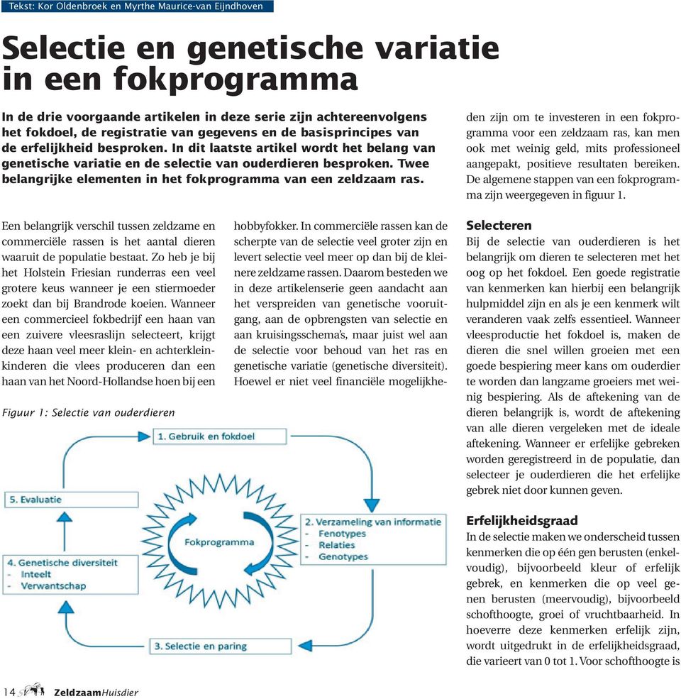 Twee belangrijke elementen in het fokprogramma van een zeldzaam ras.