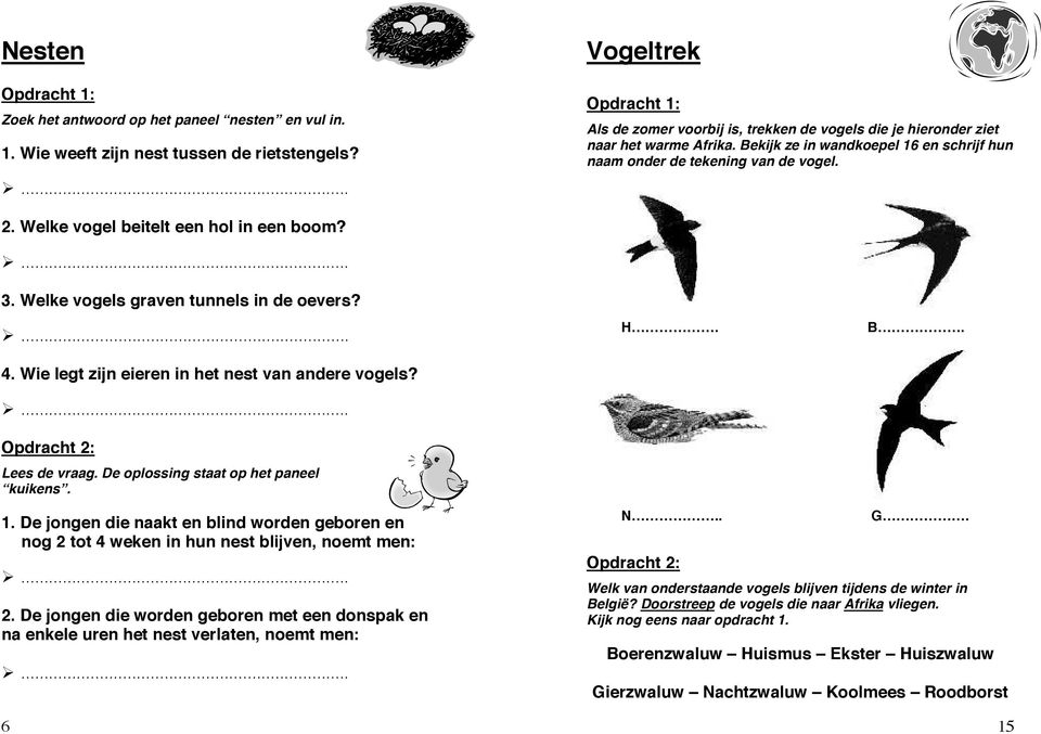 Welke vogel beitelt een hol in een boom? 3. Welke vogels graven tunnels in de oevers? 4. Wie legt zijn eieren in het nest van andere vogels? Opdracht 2: Lees de vraag.