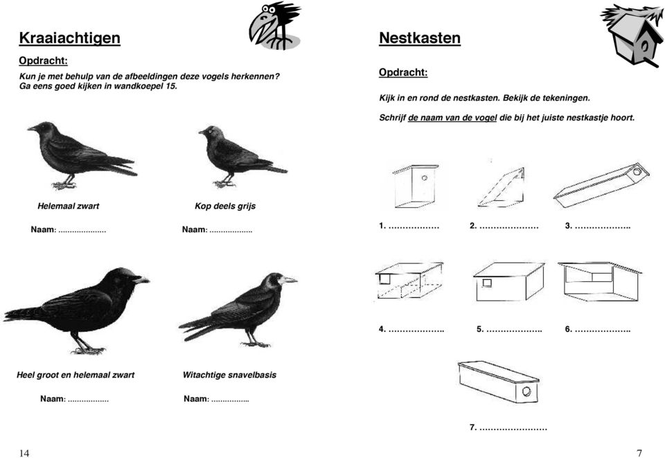 Bekijk de tekeningen. Schrijf de naam van de vogel die bij het juiste nestkastje hoort.