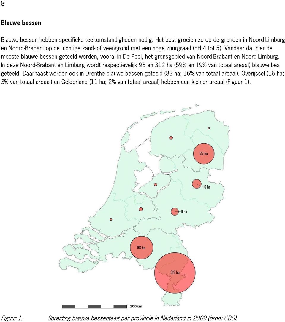 Vandaar dat hier de meeste blauwe bessen geteeld worden, vooral in De Peel, het grensgebied van Noord-Brabant en Noord-Limburg.