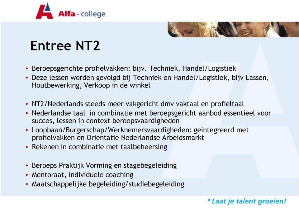 meer vakgericht dmv vaktaal en profieltaal Nederlandse taal in combinatie met beroepsgericht aanbod essentieel voor succes, lessen in context beroepsvaardigheden