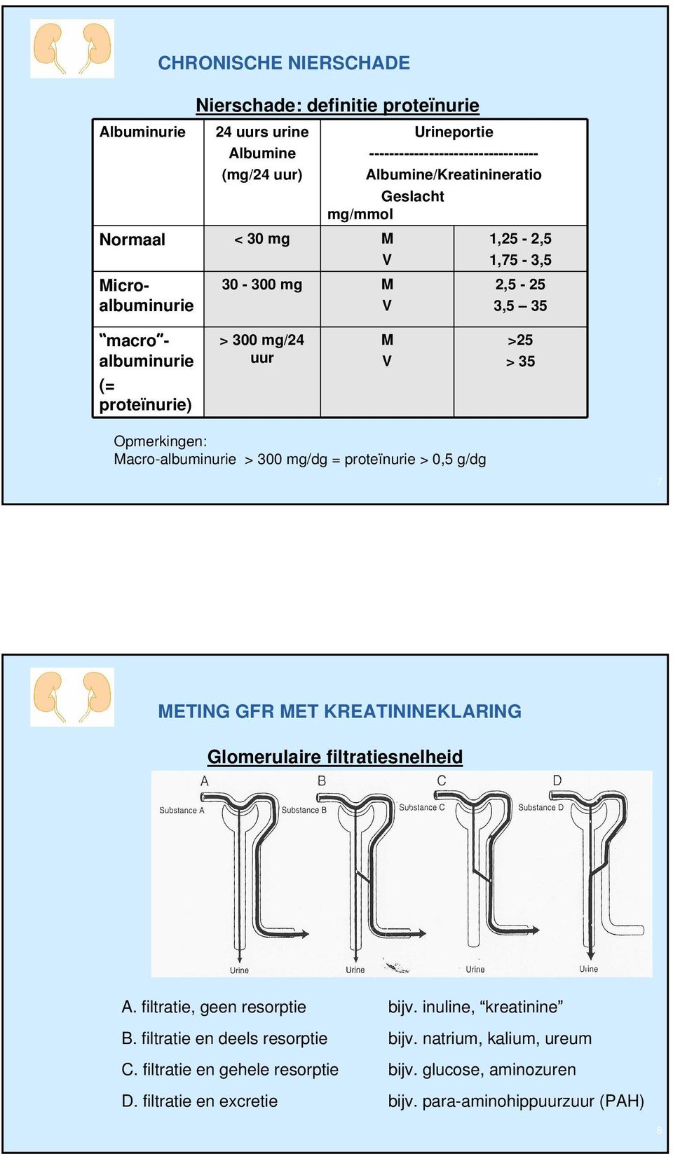 Opmerkingen: Macro-albuminurie > 300 mg/dg = proteïnurie > 0,5 g/dg 7 METING GFR MET KREATININEKLARING Glomerulaire filtratiesnelheid A. filtratie, geen resorptie bijv.