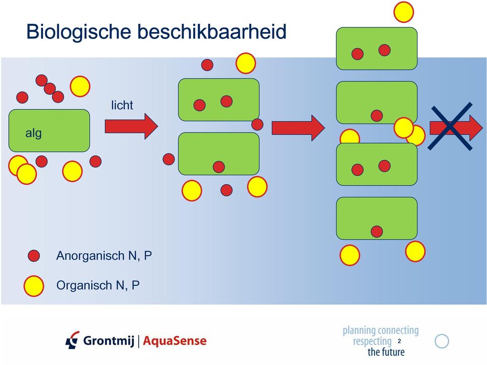 alg licht