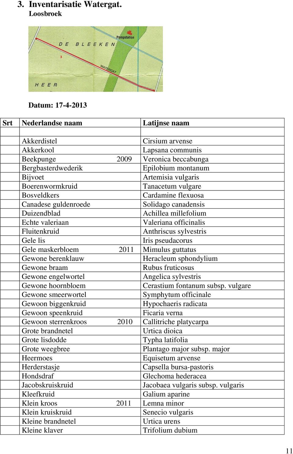 Artemisia vulgaris Boerenwormkruid Tanacetum vulgare Bosveldkers Cardamine flexuosa Canadese guldenroede Solidago canadensis Duizendblad Achillea millefolium Echte valeriaan Valeriana officinalis